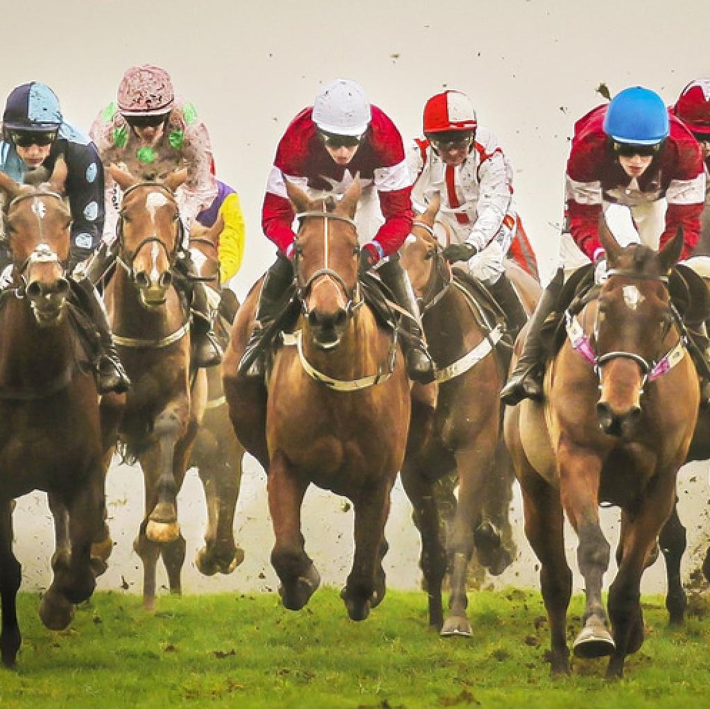 Cheltenham Races. Men's Icons Series - The Greatest Cheltenham Runners – Sideline Sport